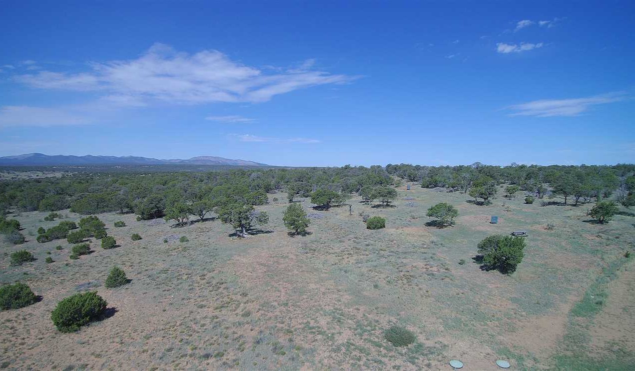 40 Acres of Residential land for sale in Corona, torrance County, New Mexico