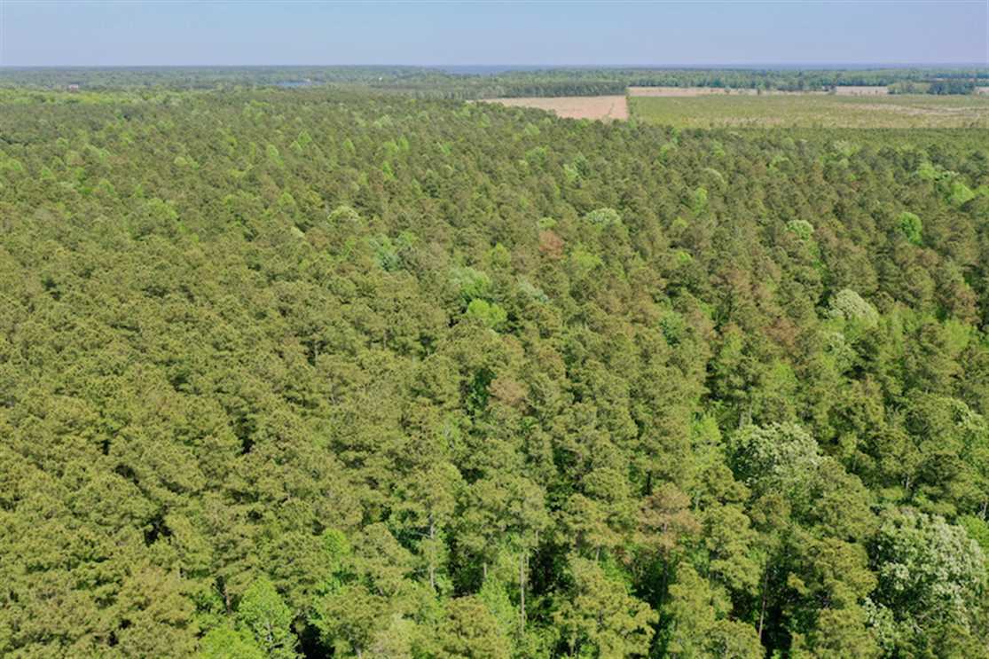 22 Acres of Residential land for sale in Edenton, chowan County, North Carolina