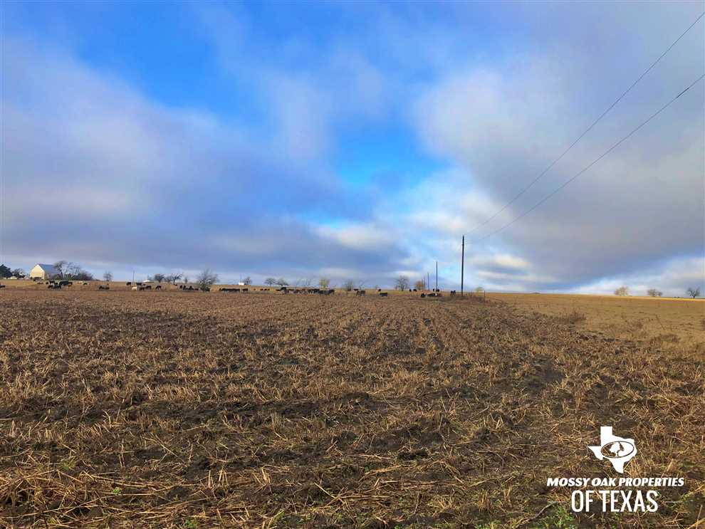 Farmland real estate available to buy
