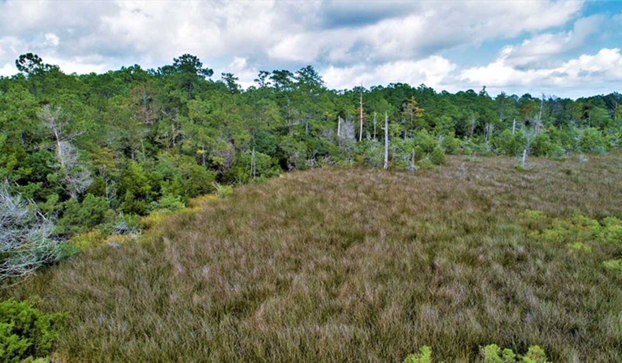 Houses and land for sale in North Carolina