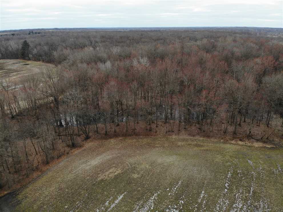 78.4 Acres of Recreational land for sale in Bangor, van buren County, Michigan