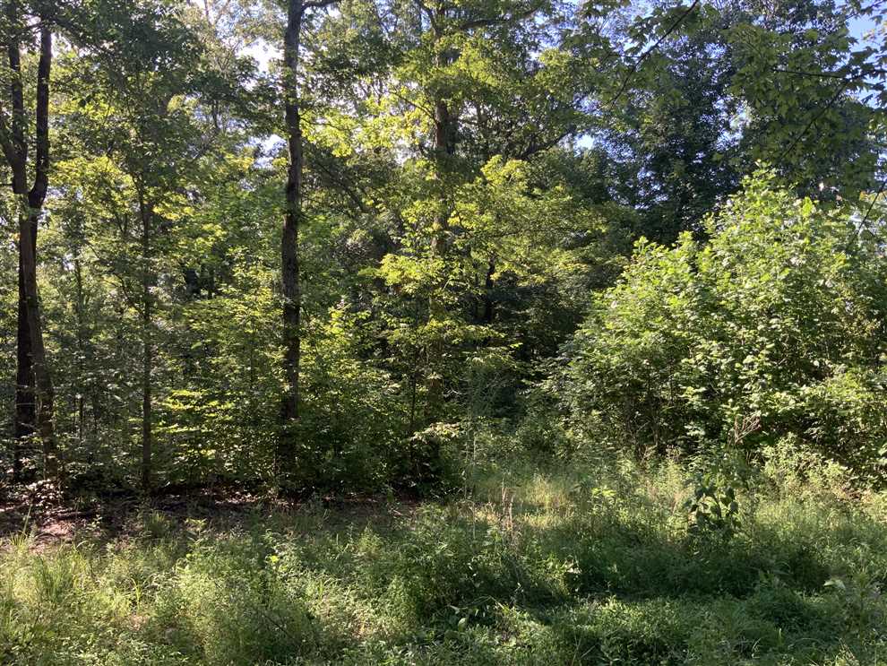 Land for sale at 0 Cane Creek Road