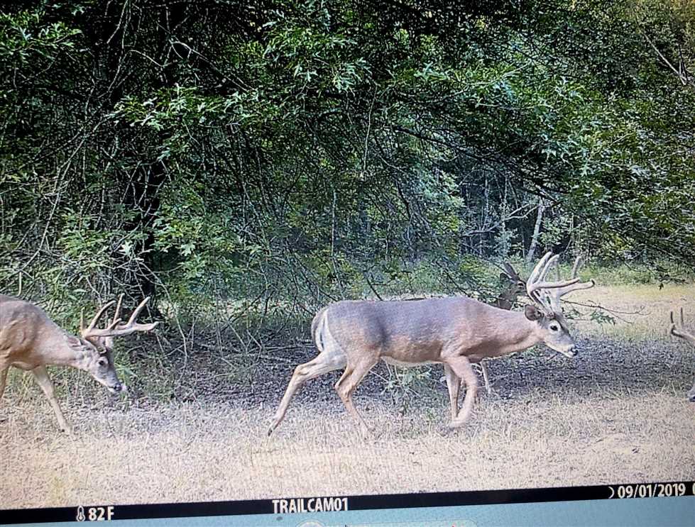 6395 Acres of Recreational land for sale in Macon, noxubee County, Mississippi