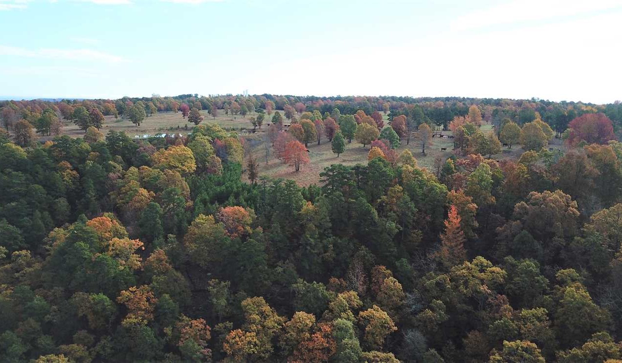 Farmland real estate available to buy