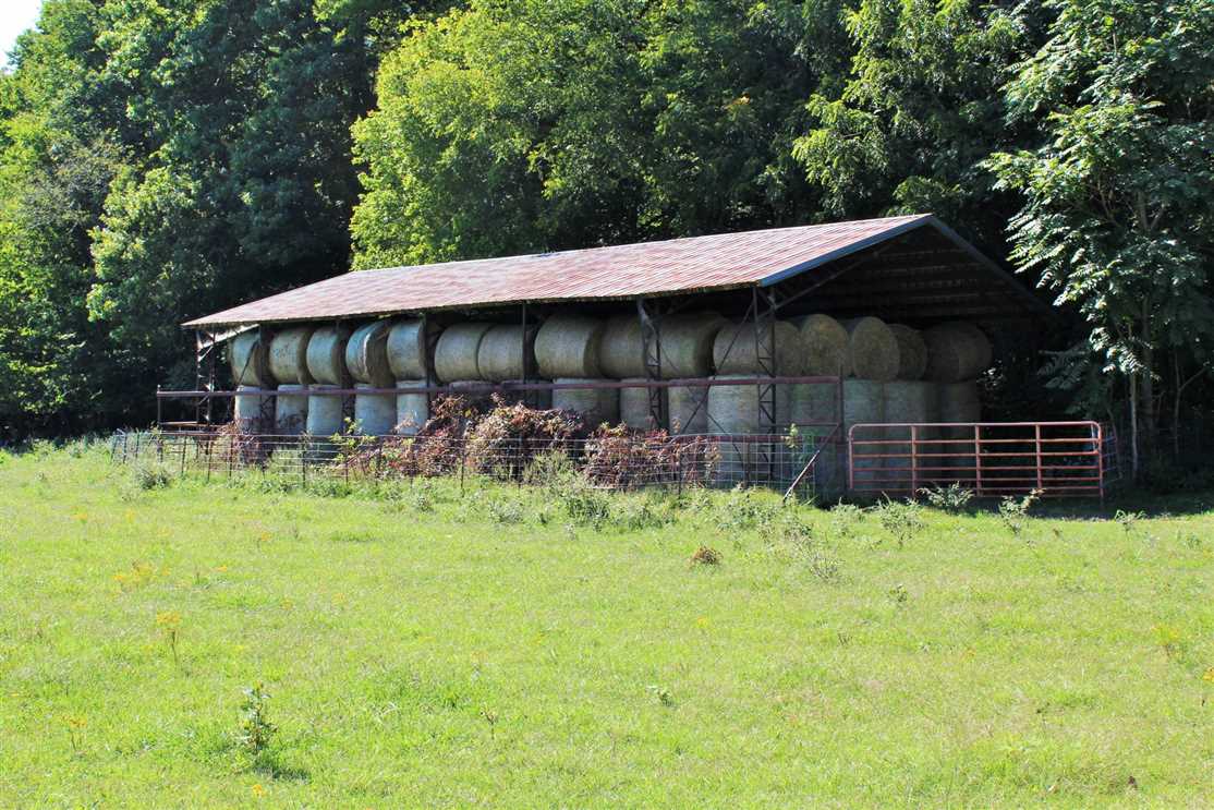 madison County, Arkansas property for sale