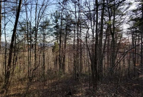 200 Acres of Land for Sale in marion County Tennessee