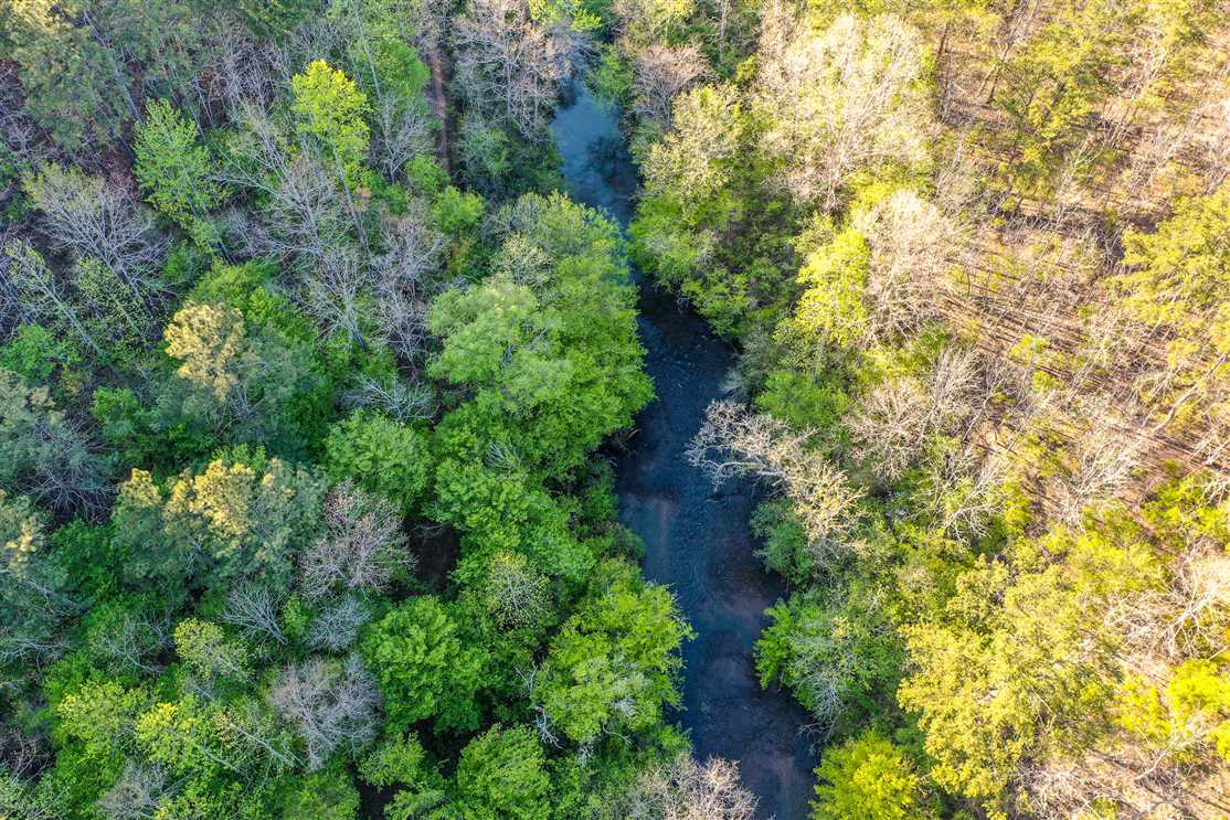 158 Acres of Mature Hardwoods in Clay County, AL. Features Several Cabin sites and Pond! Real estate listing