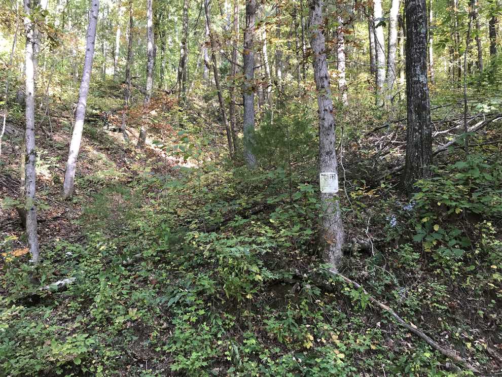 Houses and land for sale in North Carolina