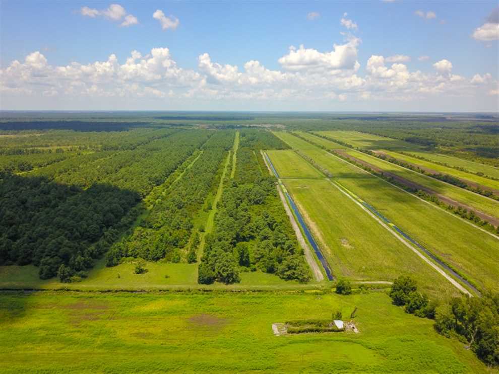 564 Acres of Residential land for sale in Fairfield, hyde County, North Carolina