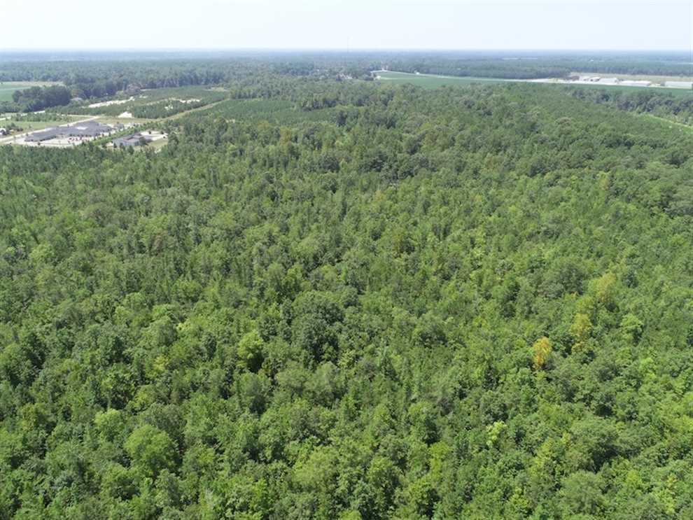 Land for sale to buy in 27938 zip code