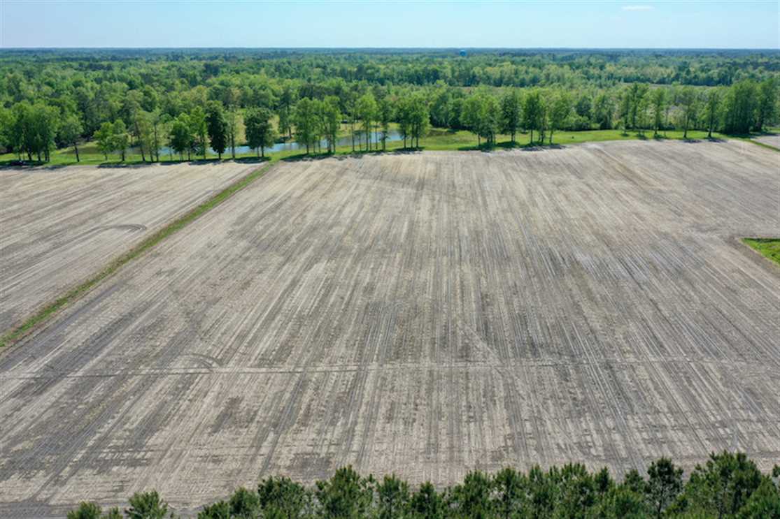 25.5 Acres of Land for sale in craven County, North Carolina