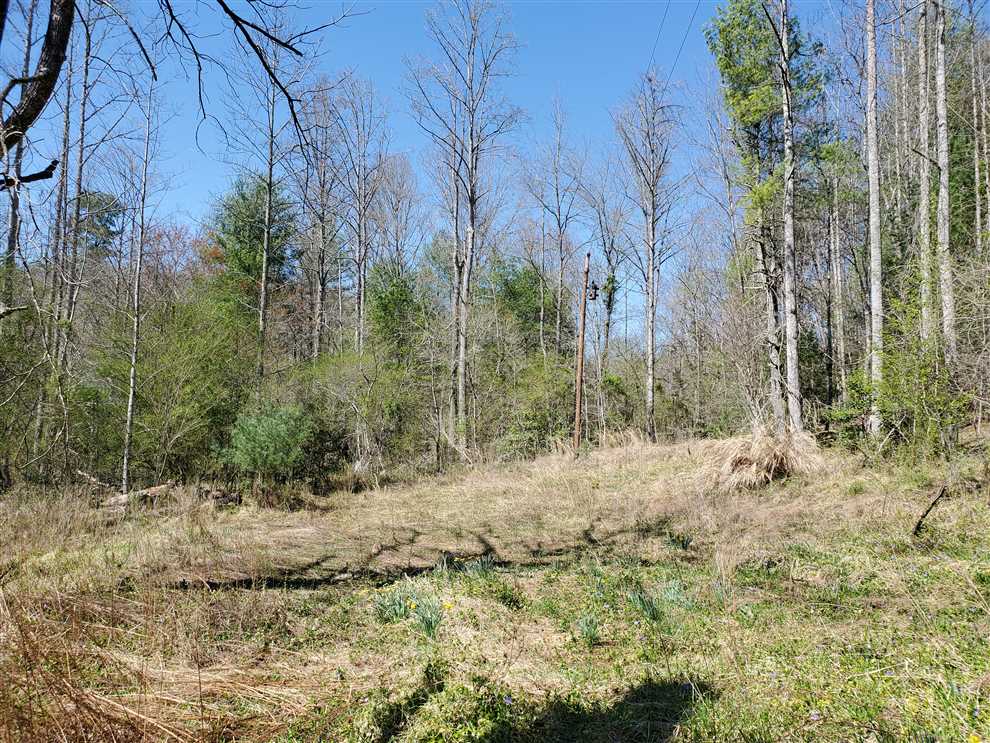 Houses and land for sale in North Carolina