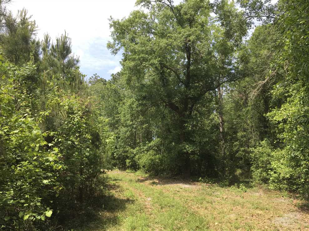 50 Acres of Residential land for sale in Jesup, wayne County, Georgia