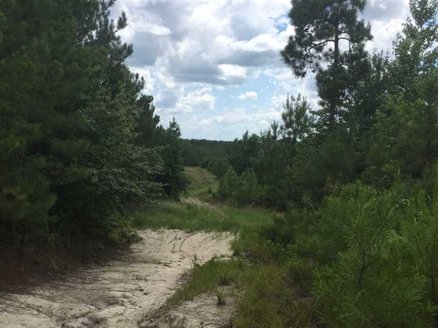 Land for sale at