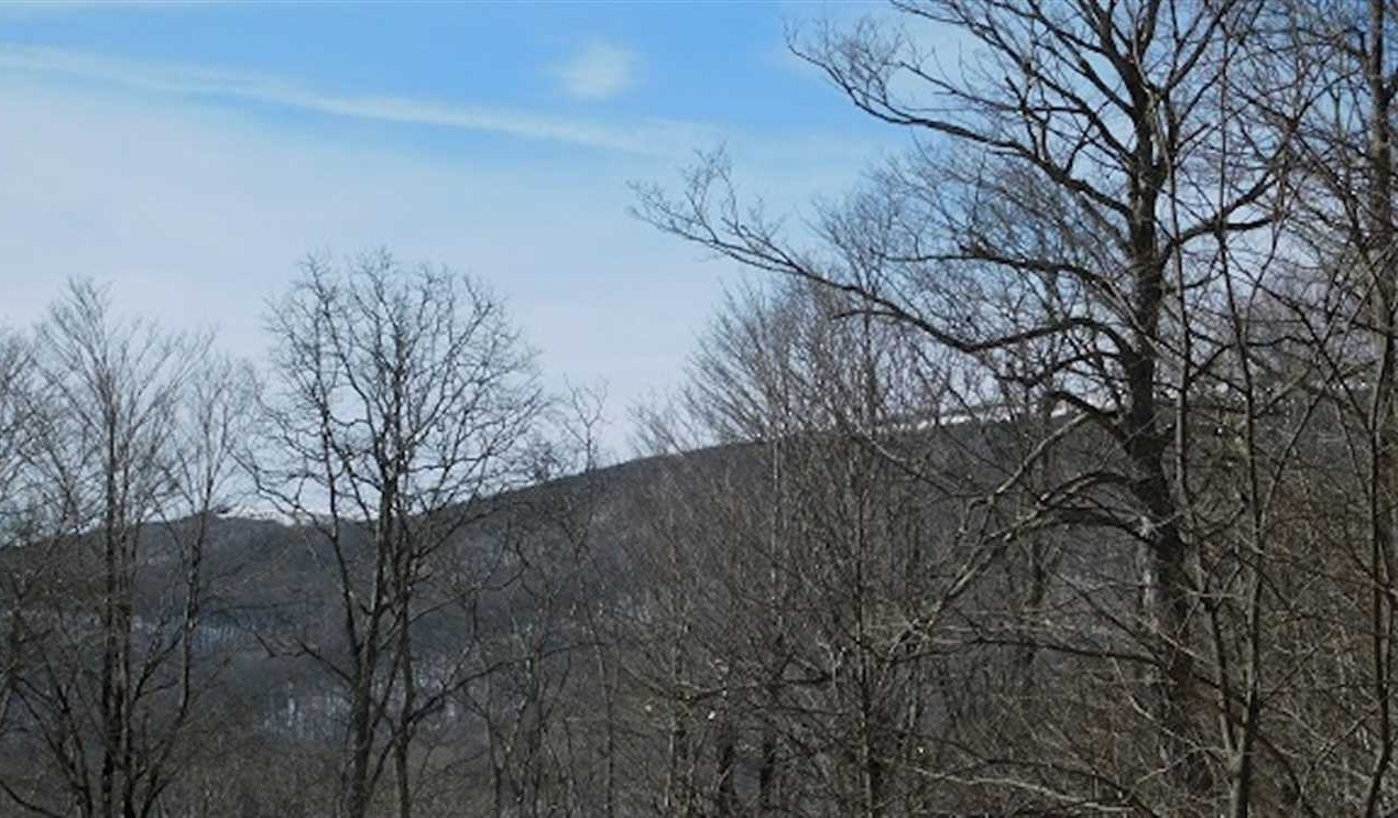 Residential and   property for sale on The Land Market