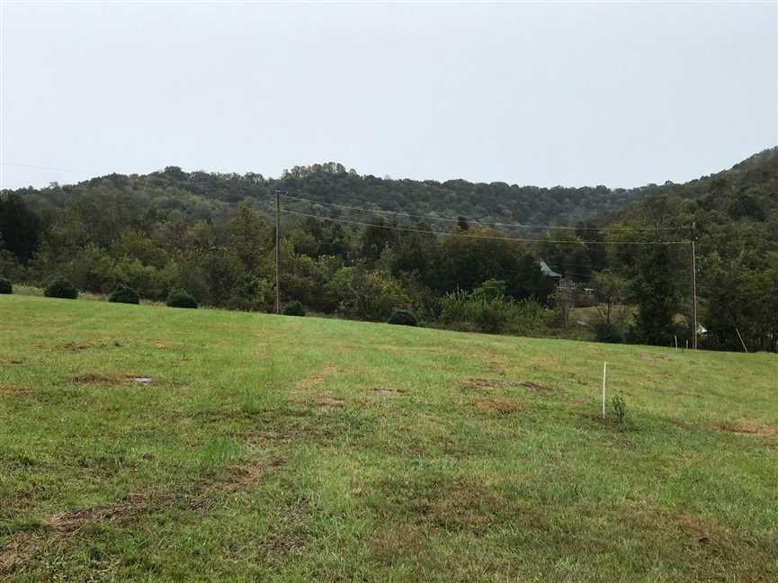 Land for sale to buy in 38560 zip code