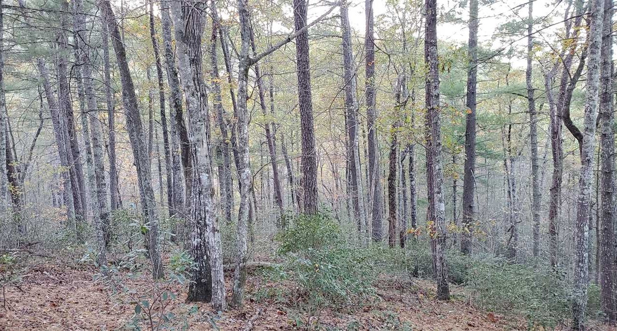 Houses and land for sale in North Carolina