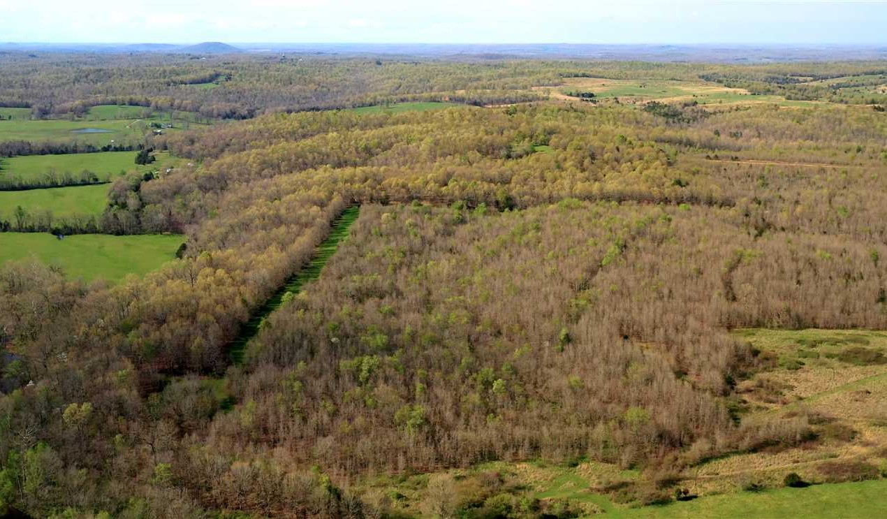 140 +/- Acres, Hay fields, Strawberry River Frontage, Timber, Electric, Road Frontage, Fulton County, AR Real estate listing