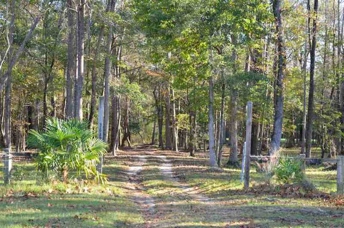 REDUCED!! 78-Acre Hunting Land For Sale with Extraordinary Home in Florence County, SC! Real estate listing