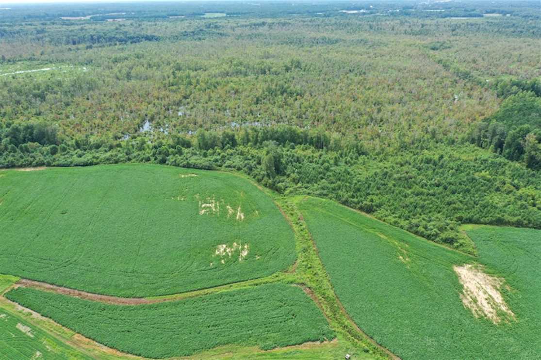Residential and   property for sale on The Land Market