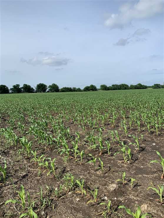 montgomery County, Kansas property for sale