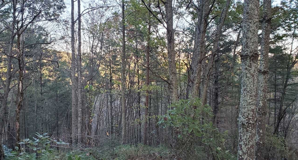 property for sale on The Land Market