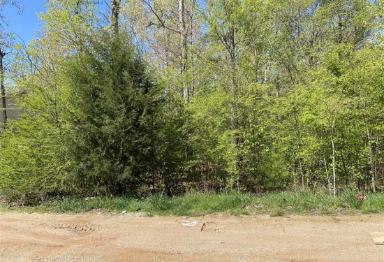 0.2599862258 Acres of Land for Sale in butler County Missouri
