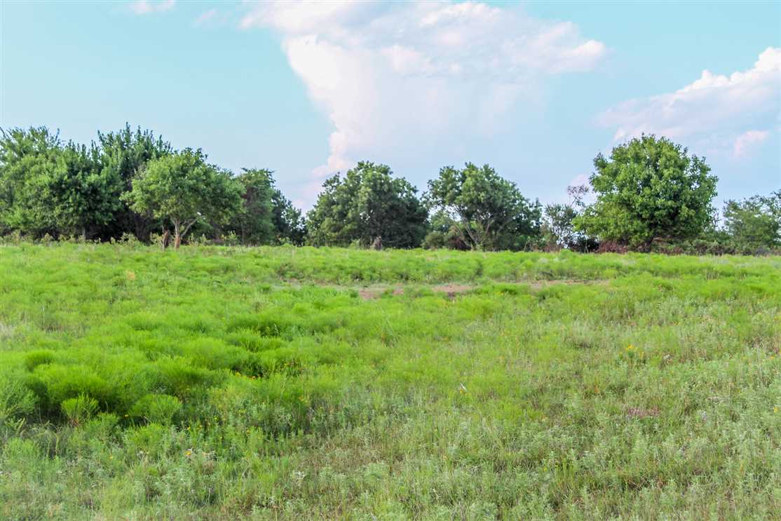 290 acres Pontotoc County Real estate listing