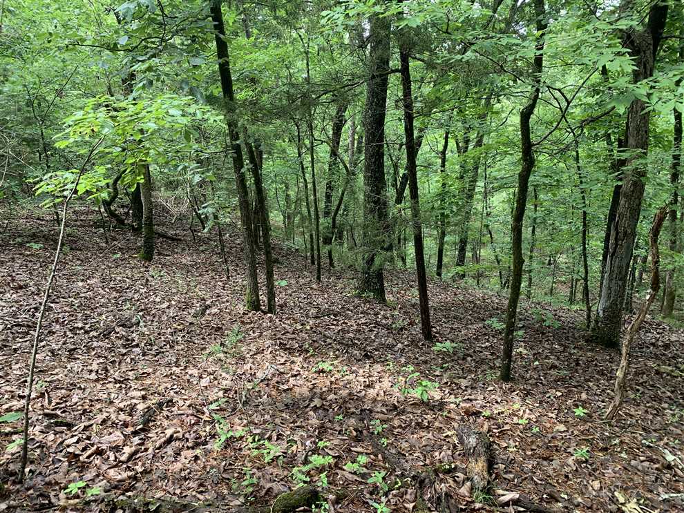 Land for sale at