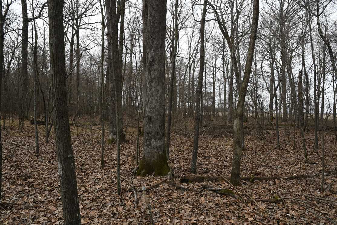 Recreational and   property for sale on The Land Market