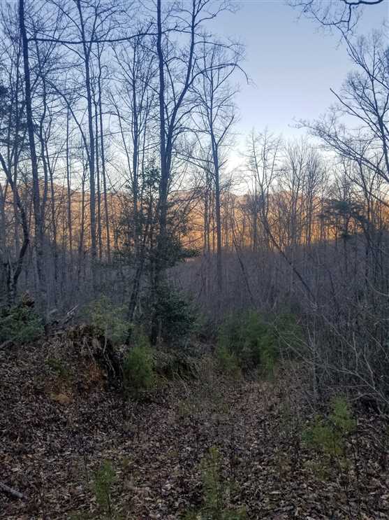 Residential and   property for sale on The Land Market