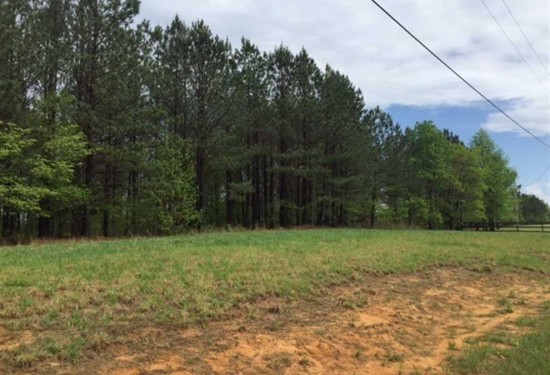 7.4 Acres of Land for Sale in marion County Tennessee