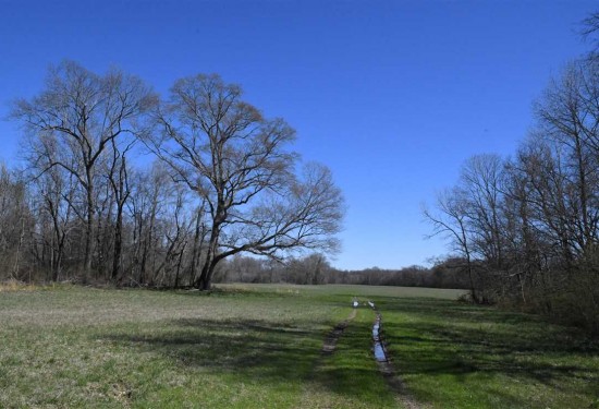 307 Acres of Land for Sale in saline County Arkansas