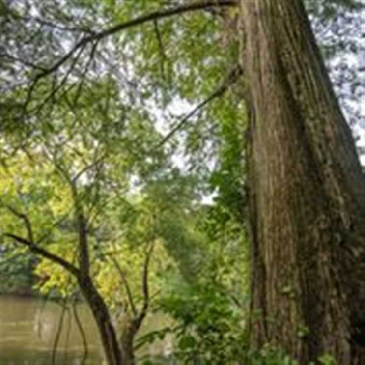 Houses and land for sale in Oklahoma