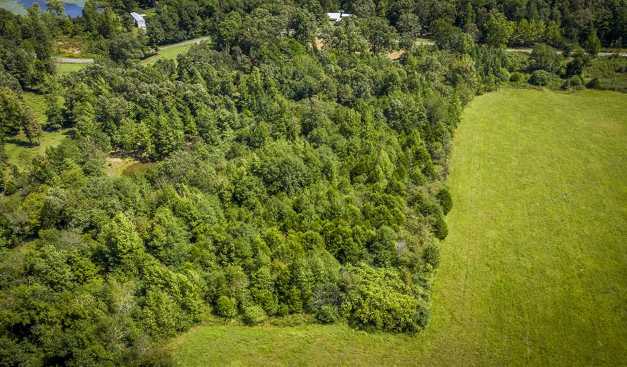 Residential and   property for sale on The Land Market