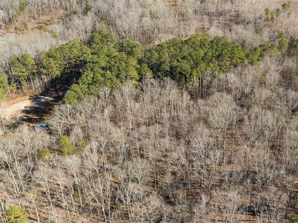 person County, North Carolina property for sale