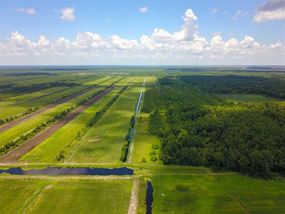 Land for sale to buy in 27826 zip code