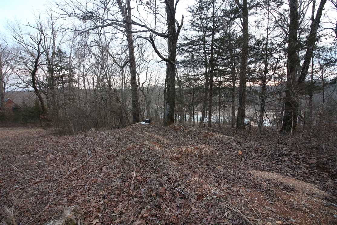 1 Acres of Land for sale in carter County, Missouri