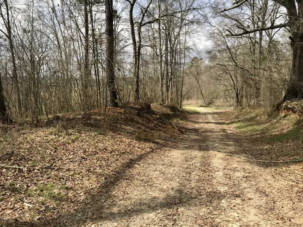 claiborne County, Mississippi property for sale