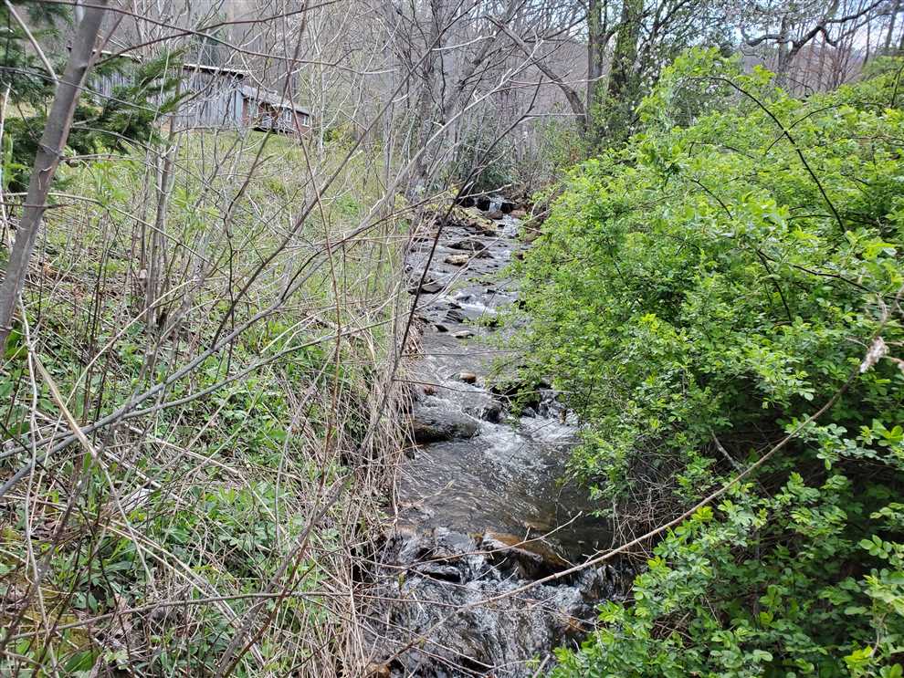17.26 Acres of Land for sale in ashe County, North Carolina