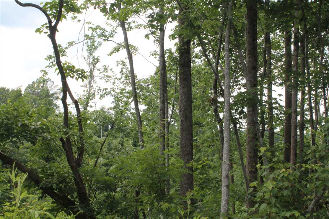 dekalb County, Tennessee property for sale