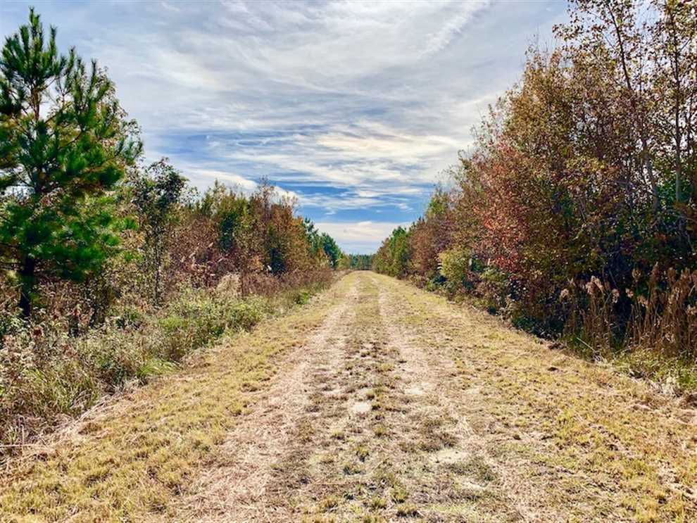 162.49 Acres of Recreational land for sale in Fort Barnwell, craven County, North Carolina
