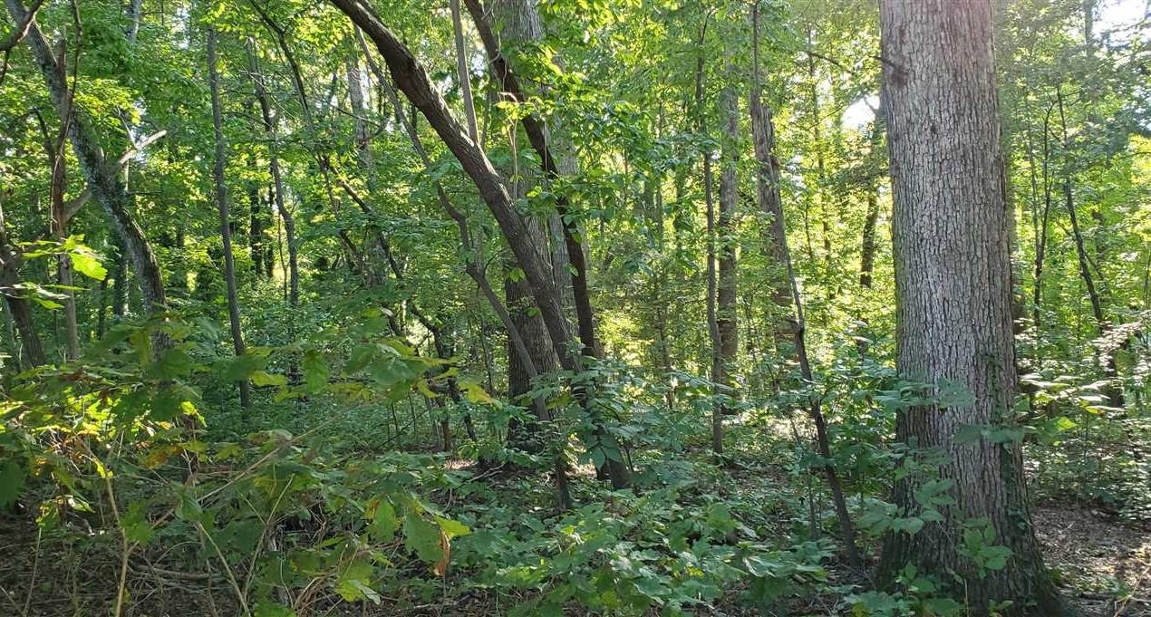 Land for sale to buy in 28613 zip code
