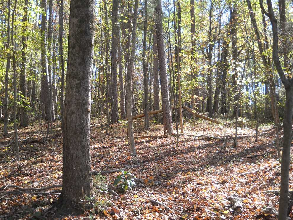 Residential and   property for sale on The Land Market
