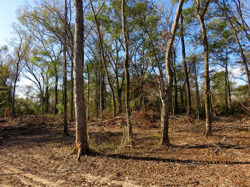 Property for sale at Hwy 411 Hwy 587
