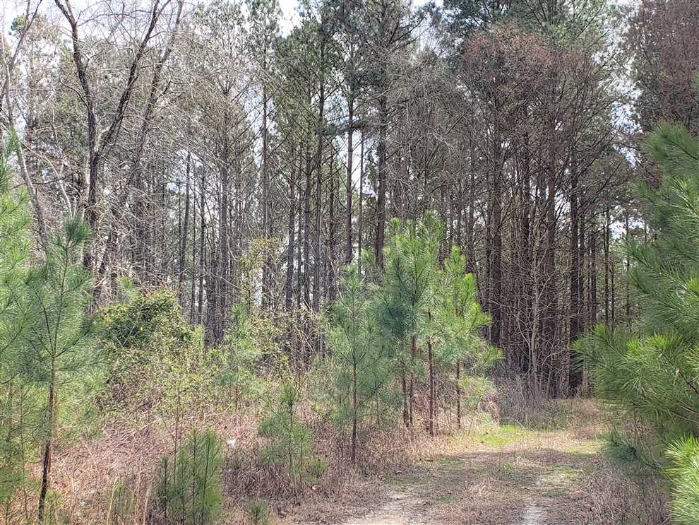 55.6 Acres of Residential land for sale in Smyrna, york County, South Carolina