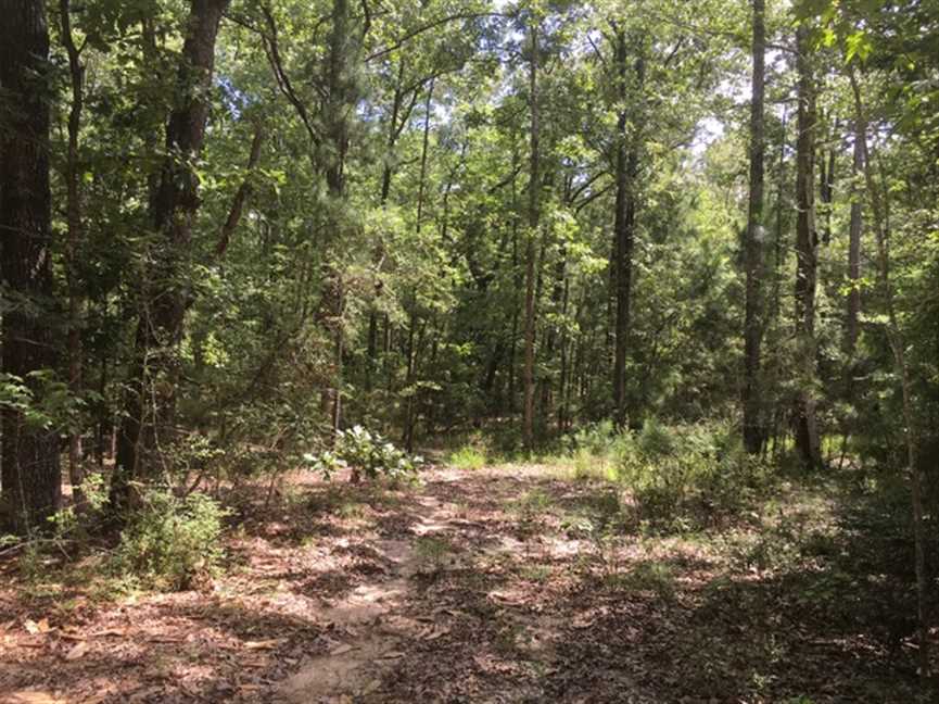190.86 Acres of Land for sale in sabine County, Louisiana