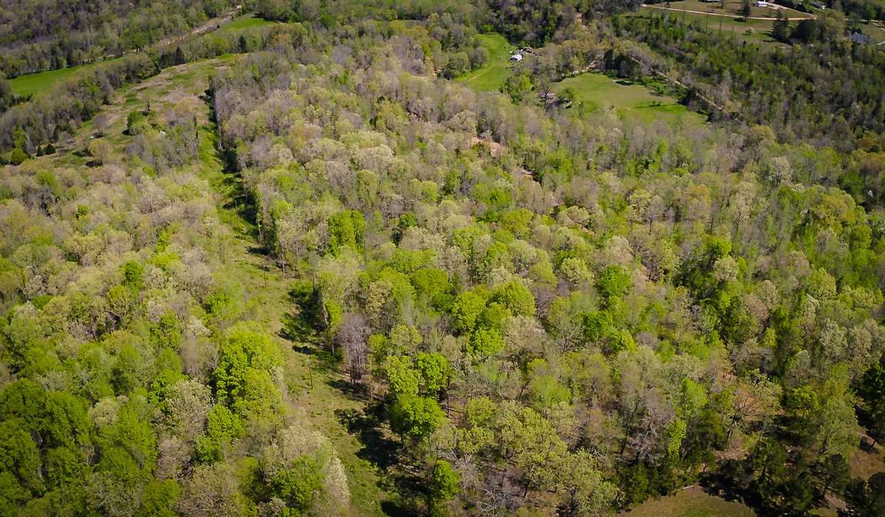 8.2 Acres of Land for sale in newton County, Arkansas