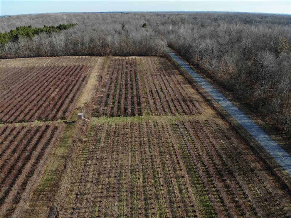 For sale 9 acre blueberry farm located in Covert, MI. Real estate listing