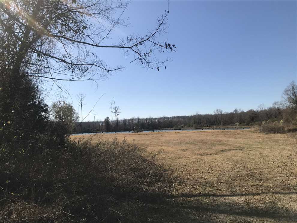 tuscaloosa County, Alabama property for sale